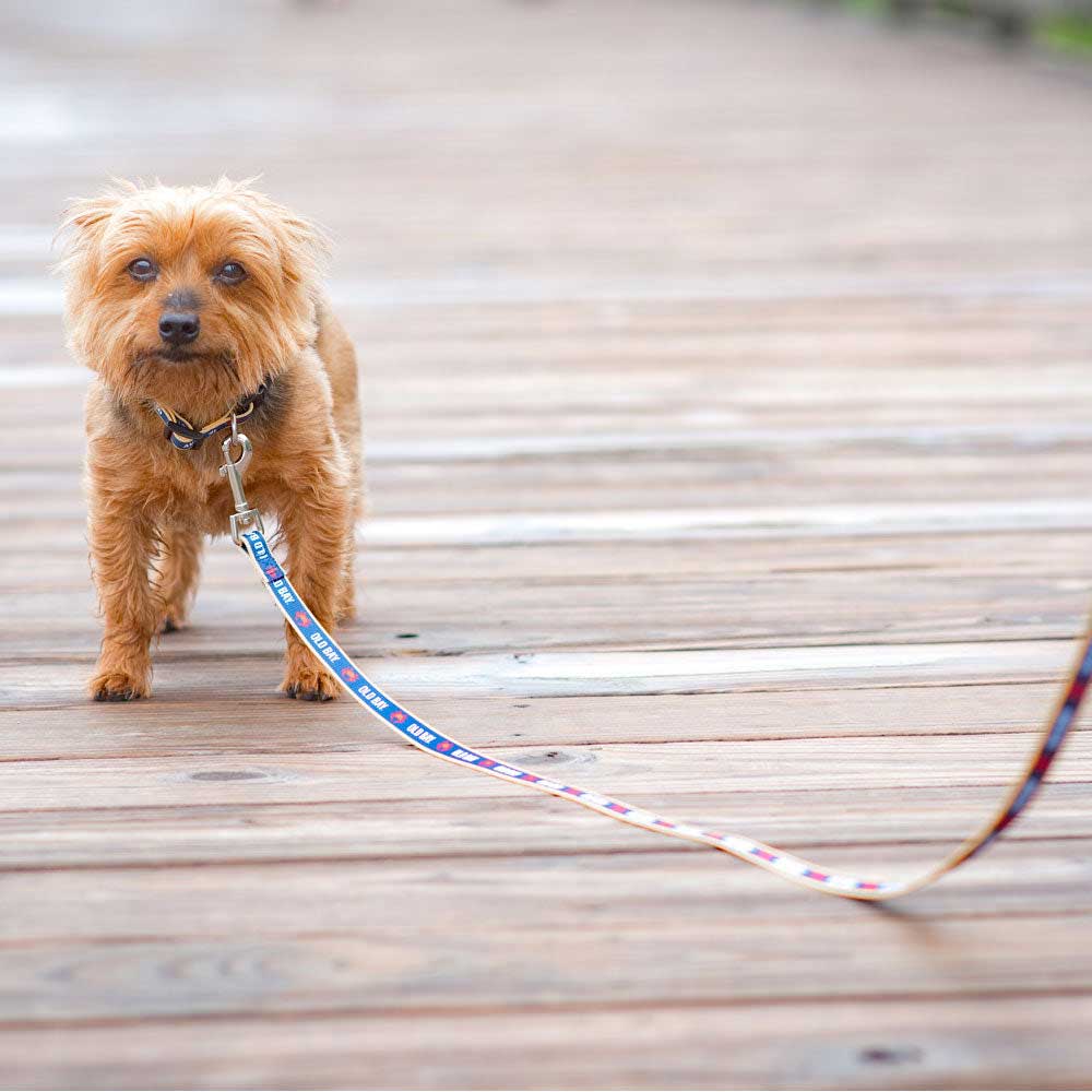 OLD BAY - Leash