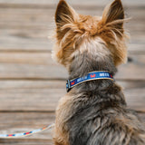 OLD BAY® - Dog Collar