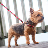 Maryland Flag Leash
