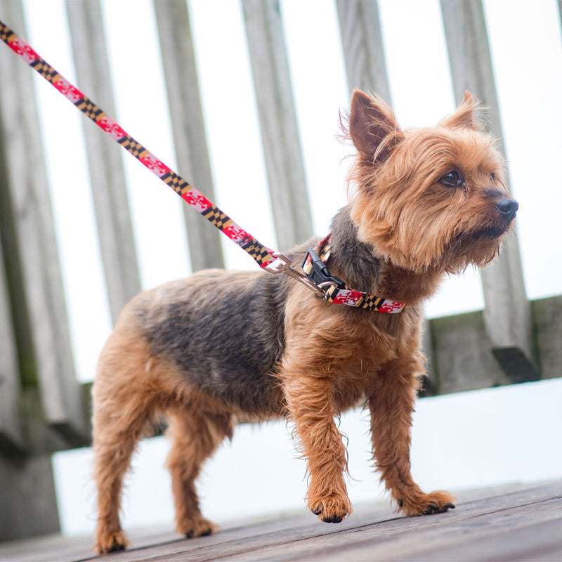 Maryland Flag Leash